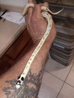 IMG_20250314_104050_068.jpg