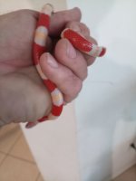 IMG_20250314_110056_689.jpg
