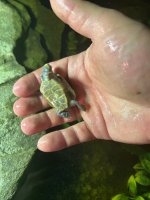 IMG_7566.jpeg