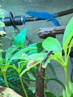 IMG_1332.jpg