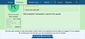 FC Indigo Comment.png