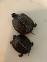 IMG_3057.jpeg