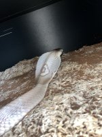 IMG_3160.jpeg