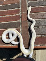 IMG_1133.jpeg