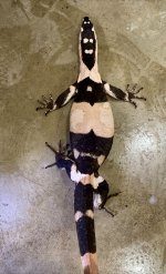 IMG_0991.jpeg