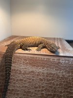 IMG_1575.jpeg