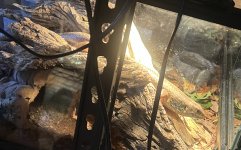 IMG_7927.jpeg