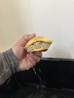 IMG_1708.jpeg