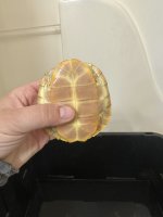 IMG_1703.jpeg