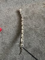 IMG_0293.jpeg