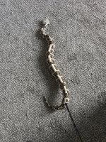 IMG_0302.jpeg