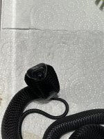 IMG_3468.jpeg