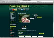 Screen shot 2011-04-01 at 12.29.20 AM.jpg