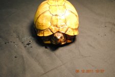 patternless5.jpg