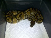IMG-20110227-00024.jpg