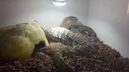 2011-02-16_12-36-39_508.jpg