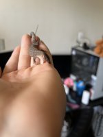 IMG_6751.jpeg