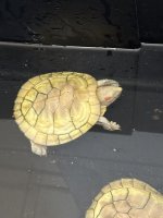 IMG_1709.jpeg