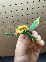 IMG_1969.jpeg