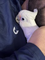 IMG_5994.jpeg