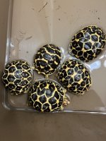 thumbnail_IMG_1798.jpg