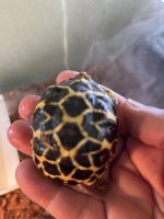 thumbnail_IMG_1805.jpg