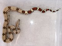 M6-3.JPG