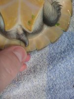 IMG_20250320_095757815.jpg