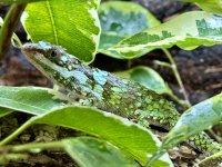 IMG_1101.jpeg