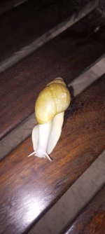 IMG-20241029-WA0017.jpg