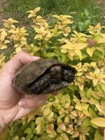 IMG_4316.jpeg
