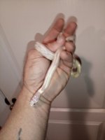 IMG_20250424_110614_286.jpg