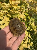 IMG_4378.jpeg
