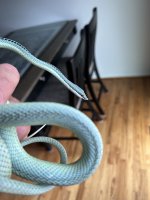 IMG_0659.jpeg