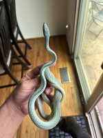 IMG_0655.jpeg
