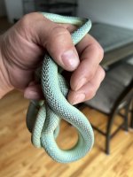 IMG_0661.jpeg