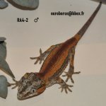 DSC_1384.JPG