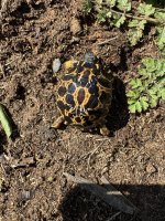 IMG_0501.jpeg