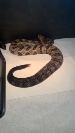 IMG_7730.jpeg