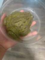IMG_7780.jpeg