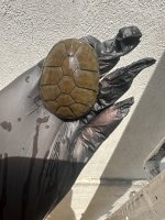 IMG_8820.jpeg