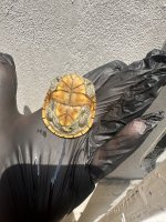 IMG_8821.jpeg