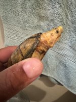 IMG_6044.jpeg