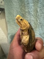 IMG_6046.jpeg