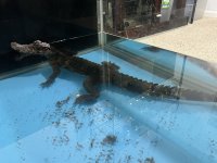 IMG_0567.jpeg