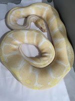 IMG_9200.jpeg