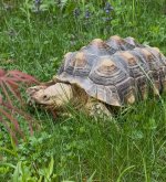 IMG_4841.jpeg