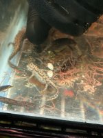 IMG_1894.jpeg