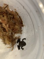 IMG_2139.jpeg