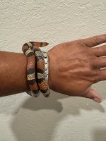 IMG_6105.jpeg